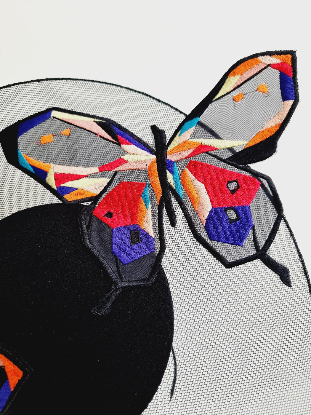 black-butterfly percher close up