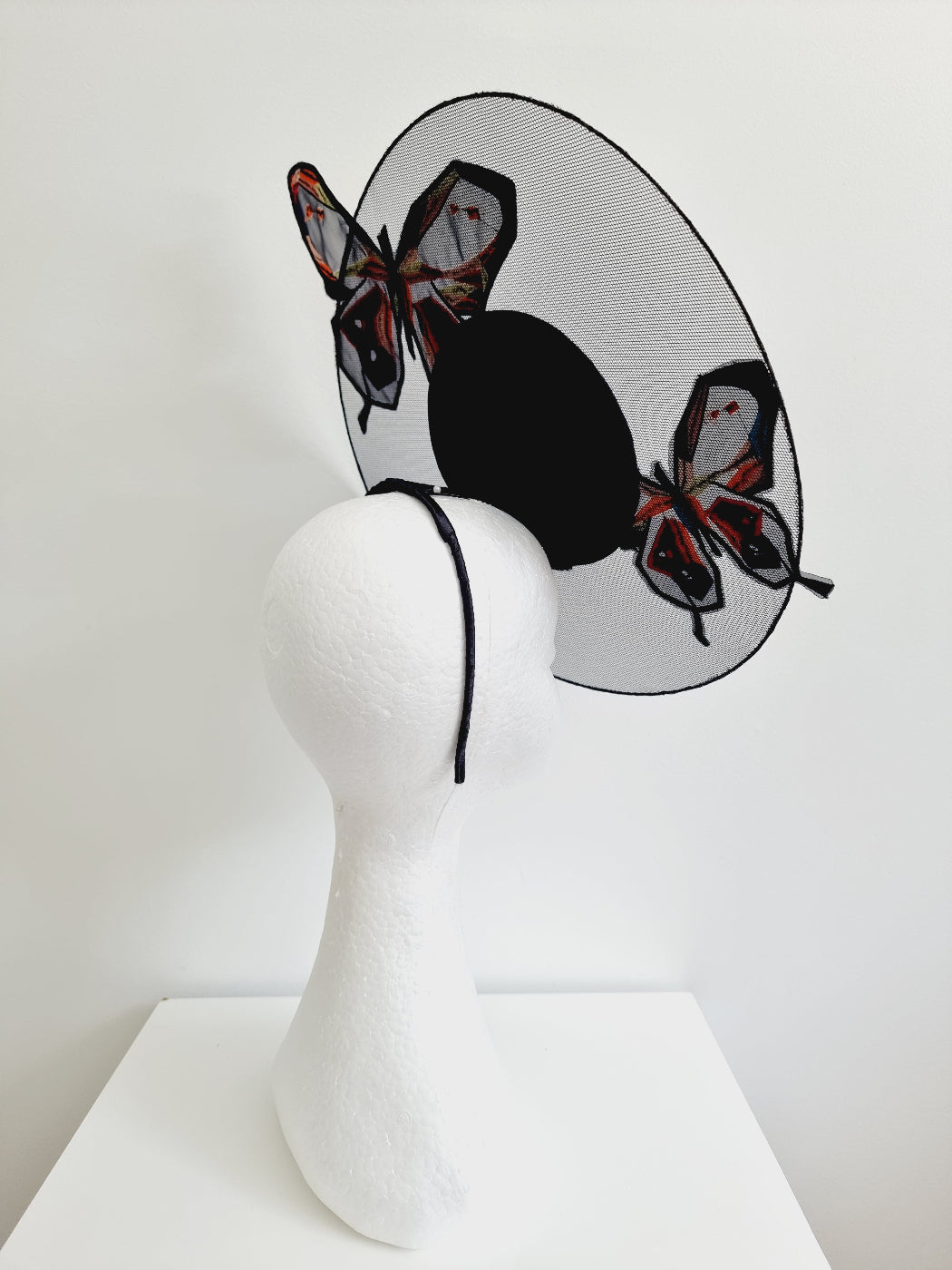 black butterfly percher with sheer disk side back view