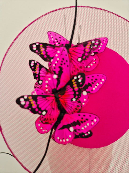hot pink butterfly percher close up