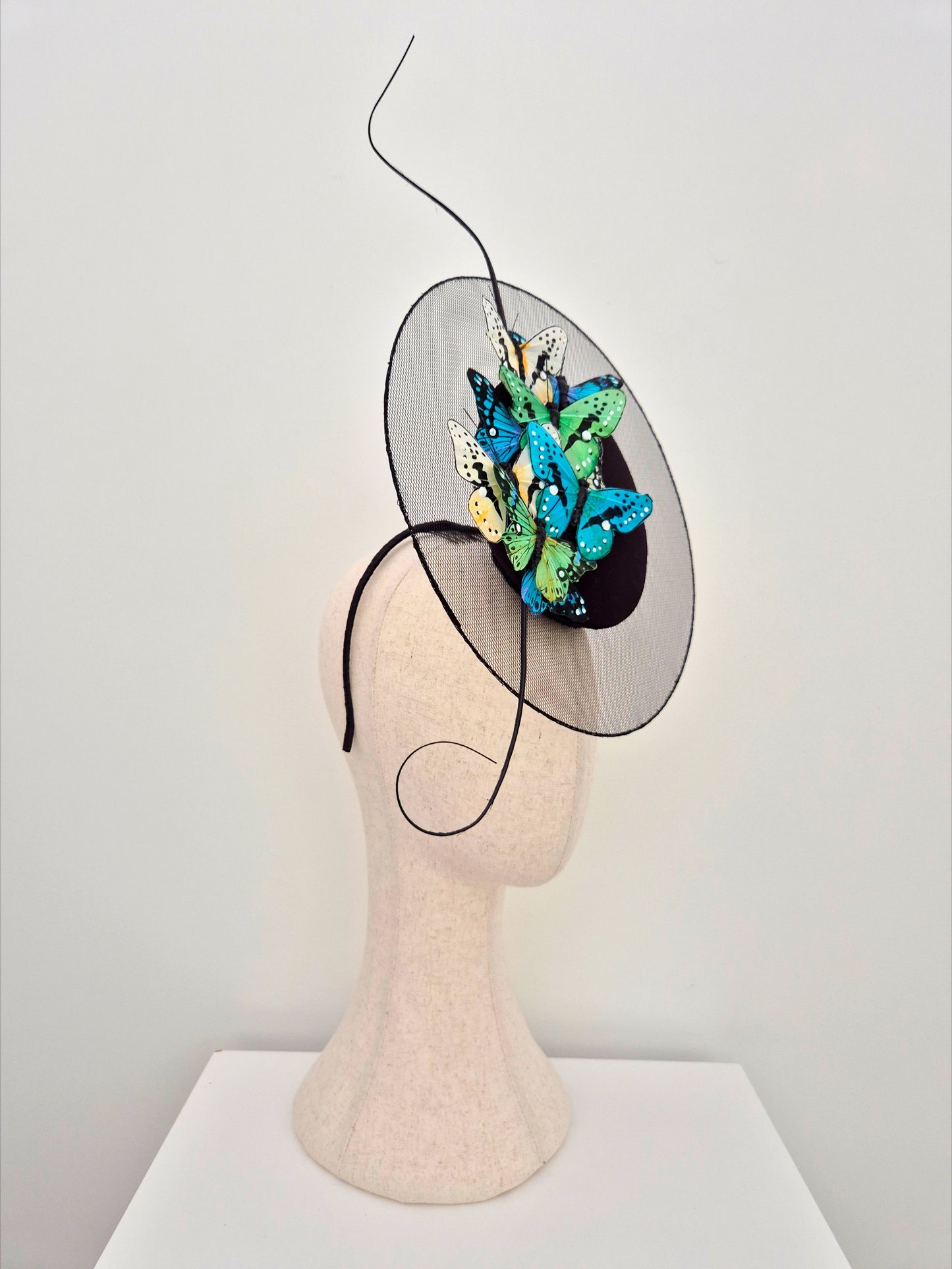 black percher with butterflies side view
