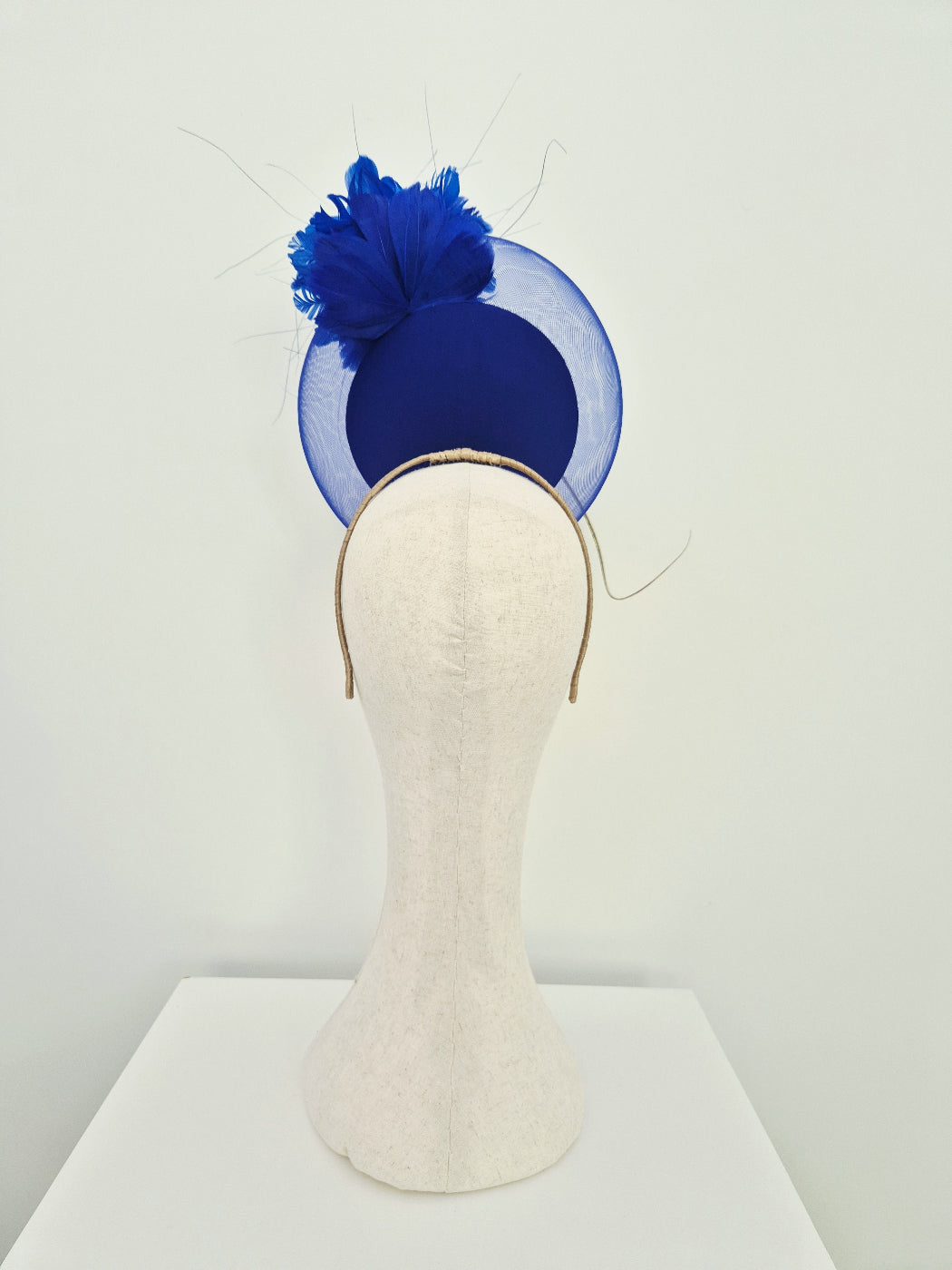 A royal blue percher fascinator with a sheer circular crinoline brim a large textured blue feather accent, and a thin gold headband, displayed on a cream-colored mannequin head against a plain white background.back view