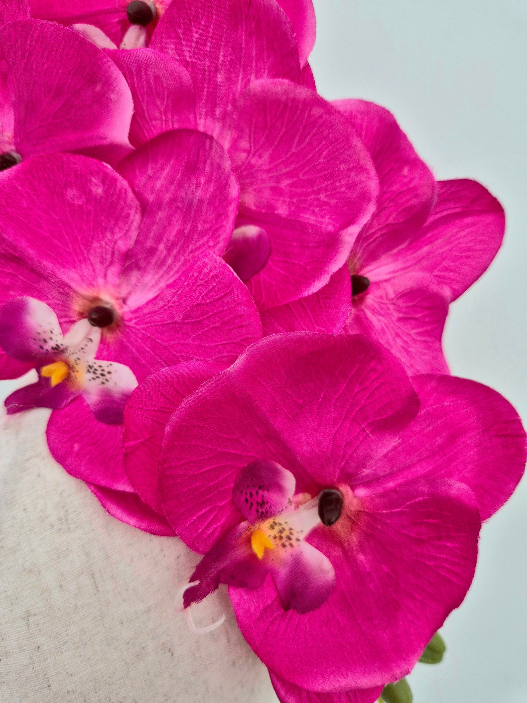 close up hot pink orchid headpiece