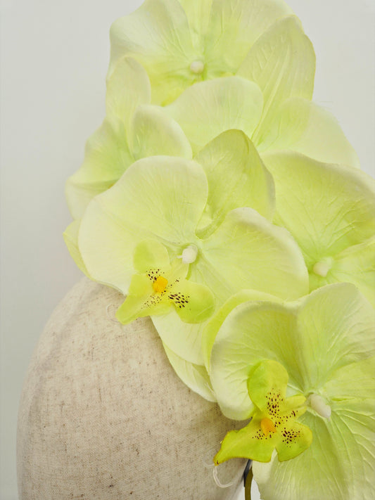 close up pale  lime green orchid headpiece