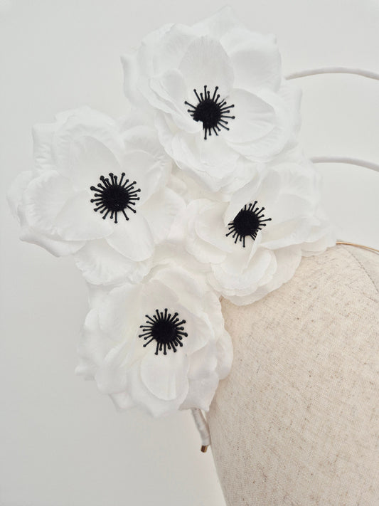 close up white double flower halo white and black
