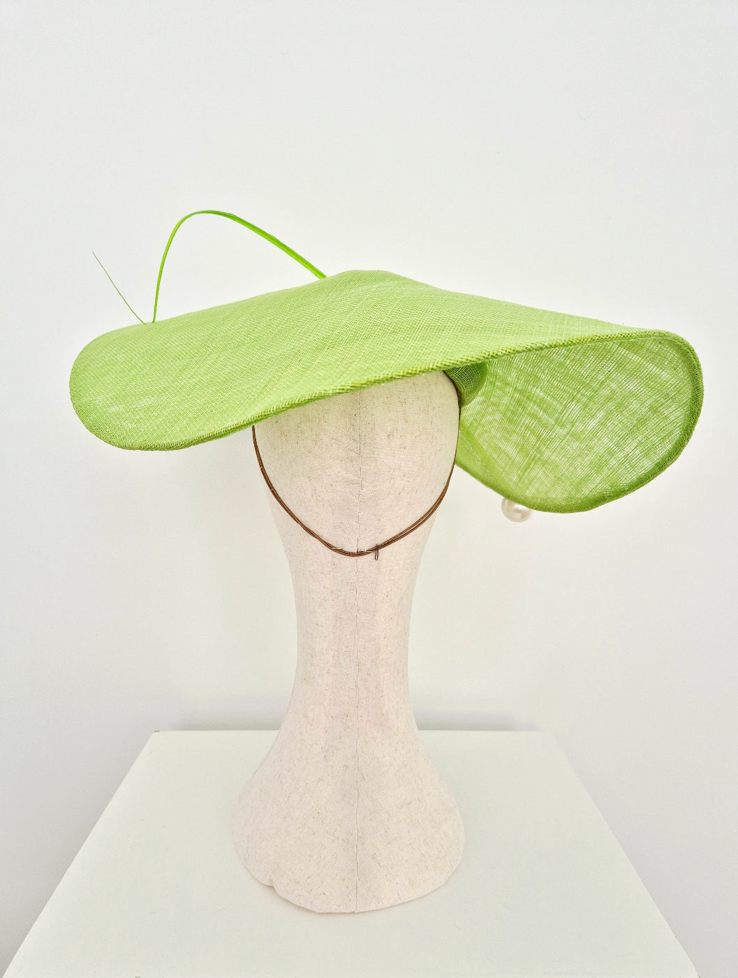 A light green wide-brimmed fascinator hat with a single thin feather accent, displayed on a cream-colored mannequin head against a plain white background. back view